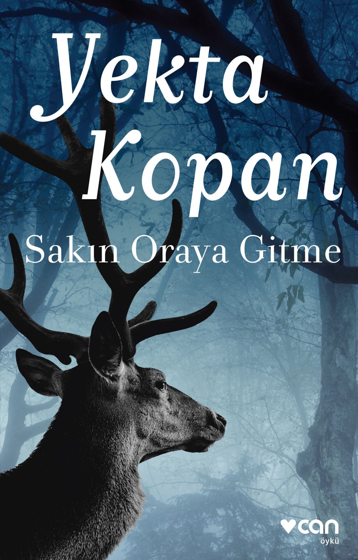 SAKIN ORAYA GİTME